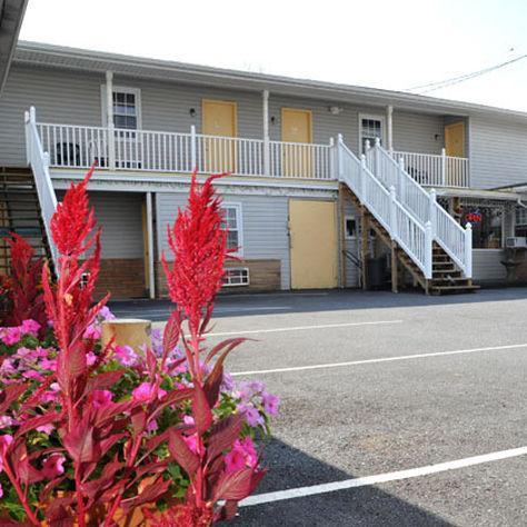 Dutch Motel By Oyo Near Hershey Park Palmyra Exteriör bild